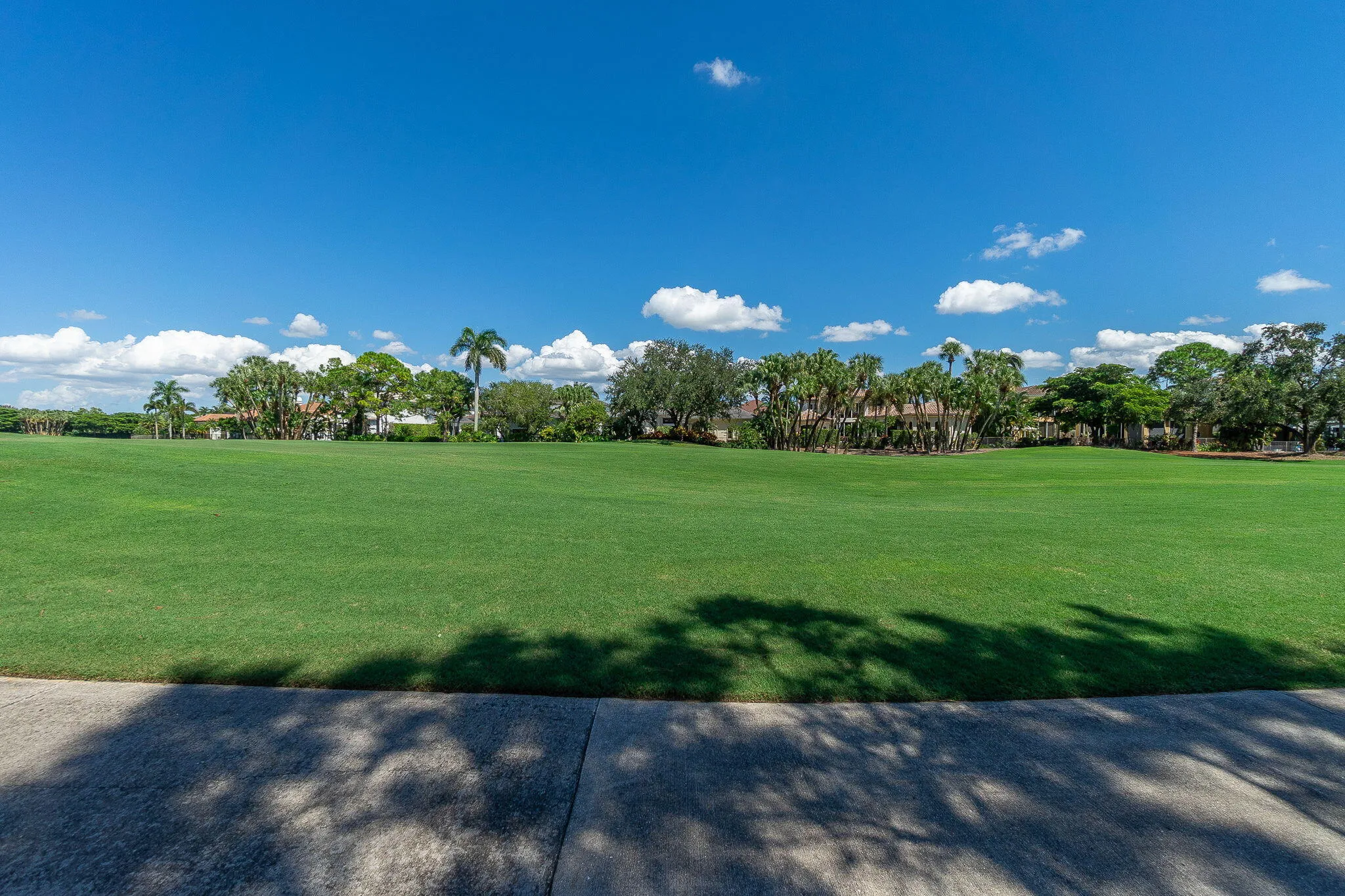 66-web-or-mls-DSC00570