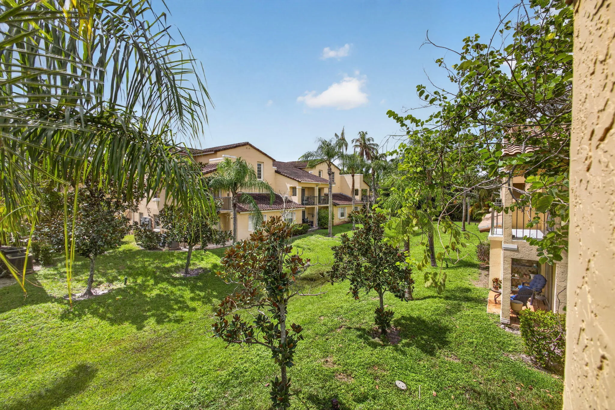 36-web-or-mls-5D1A3568