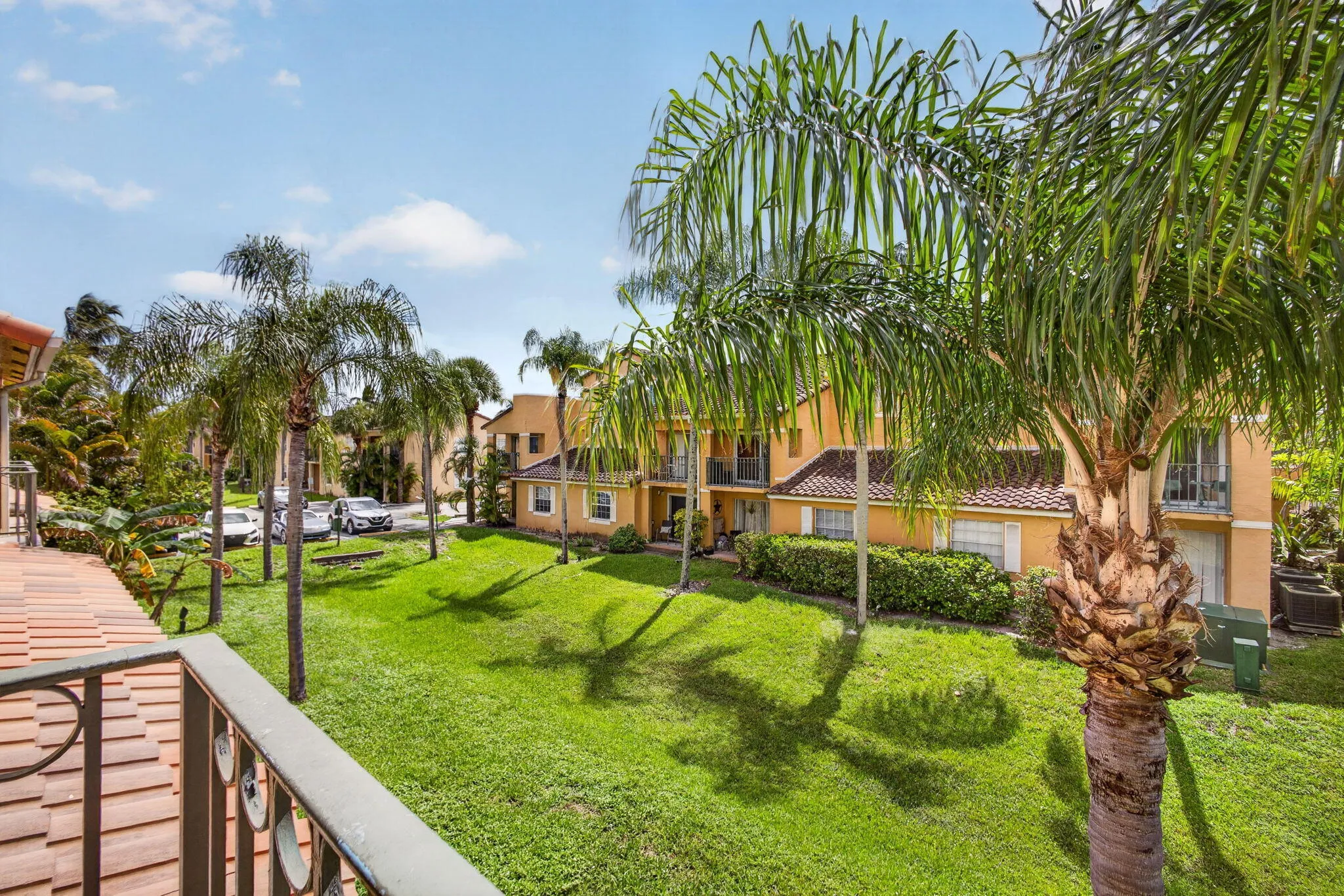 35-web-or-mls-5D1A3564