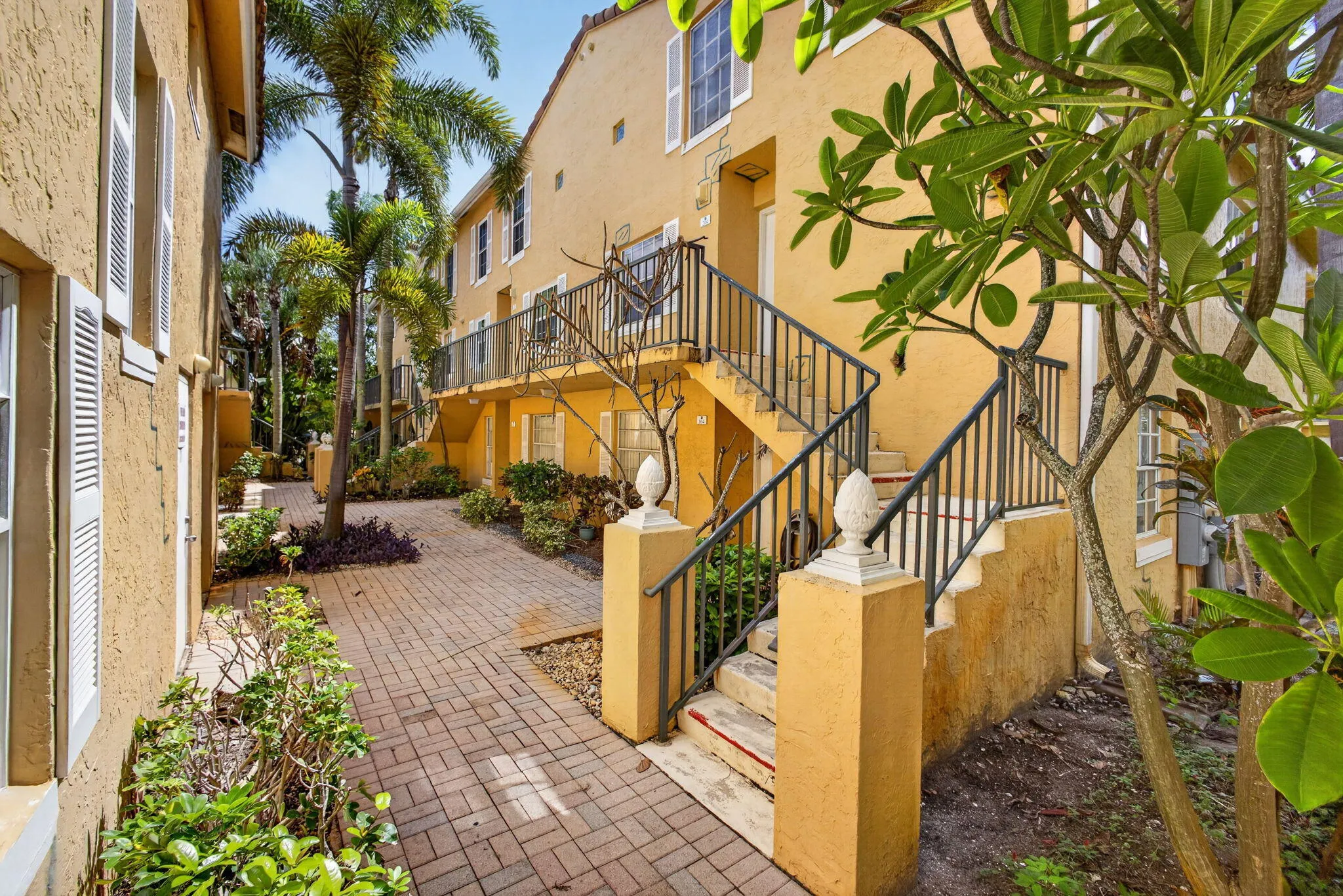 5-web-or-mls-5D1A3398