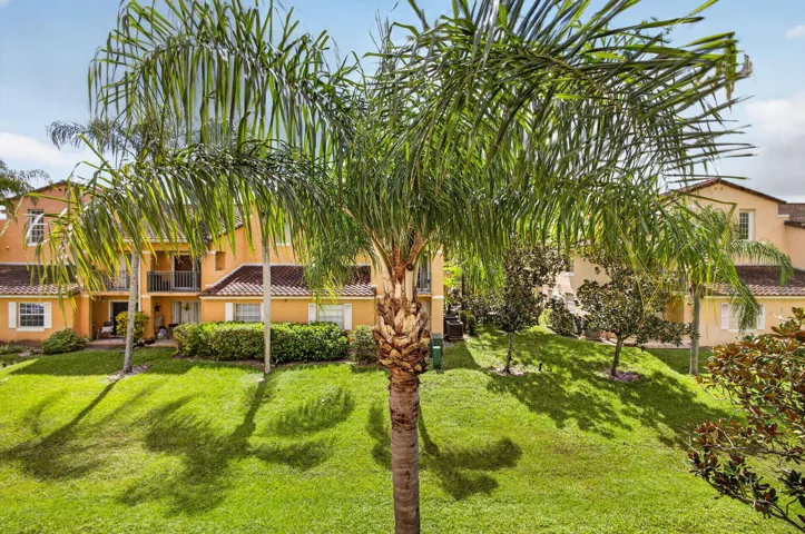 37-web-or-mls-5D1A3573