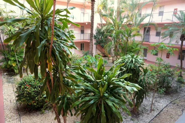 DSC00368