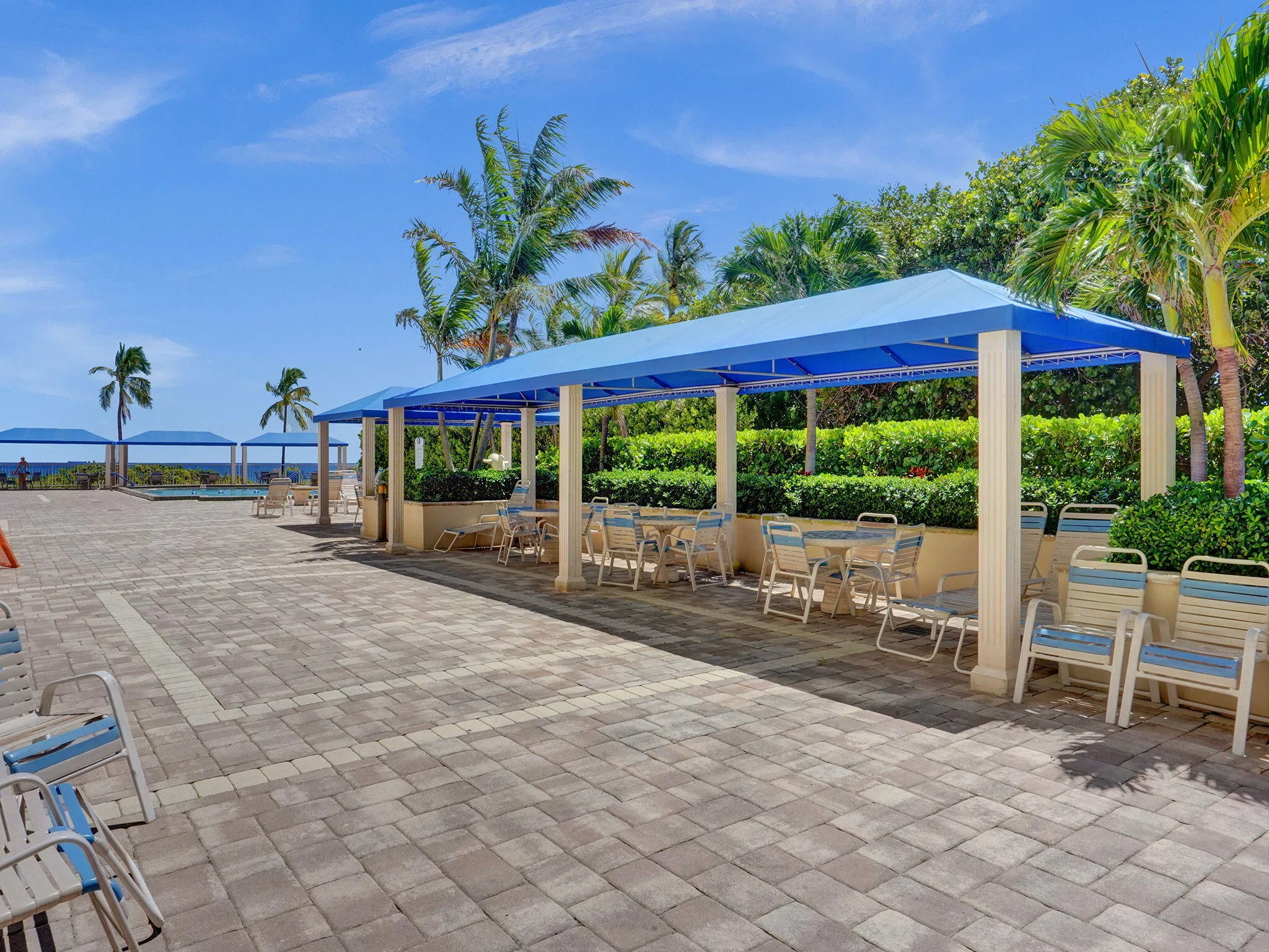 25-web-or-mls-ROY03132