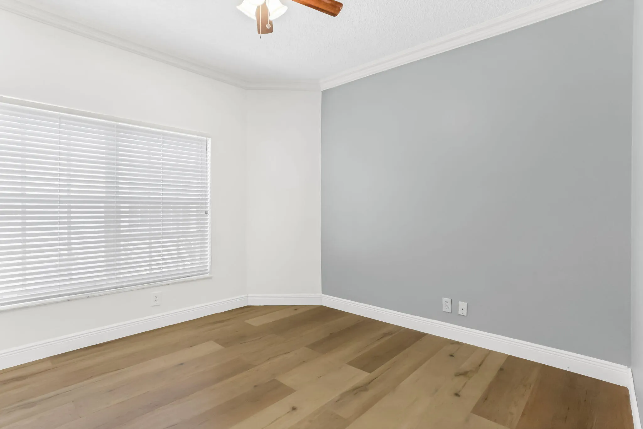 42-web-or-mls-0E2A4217