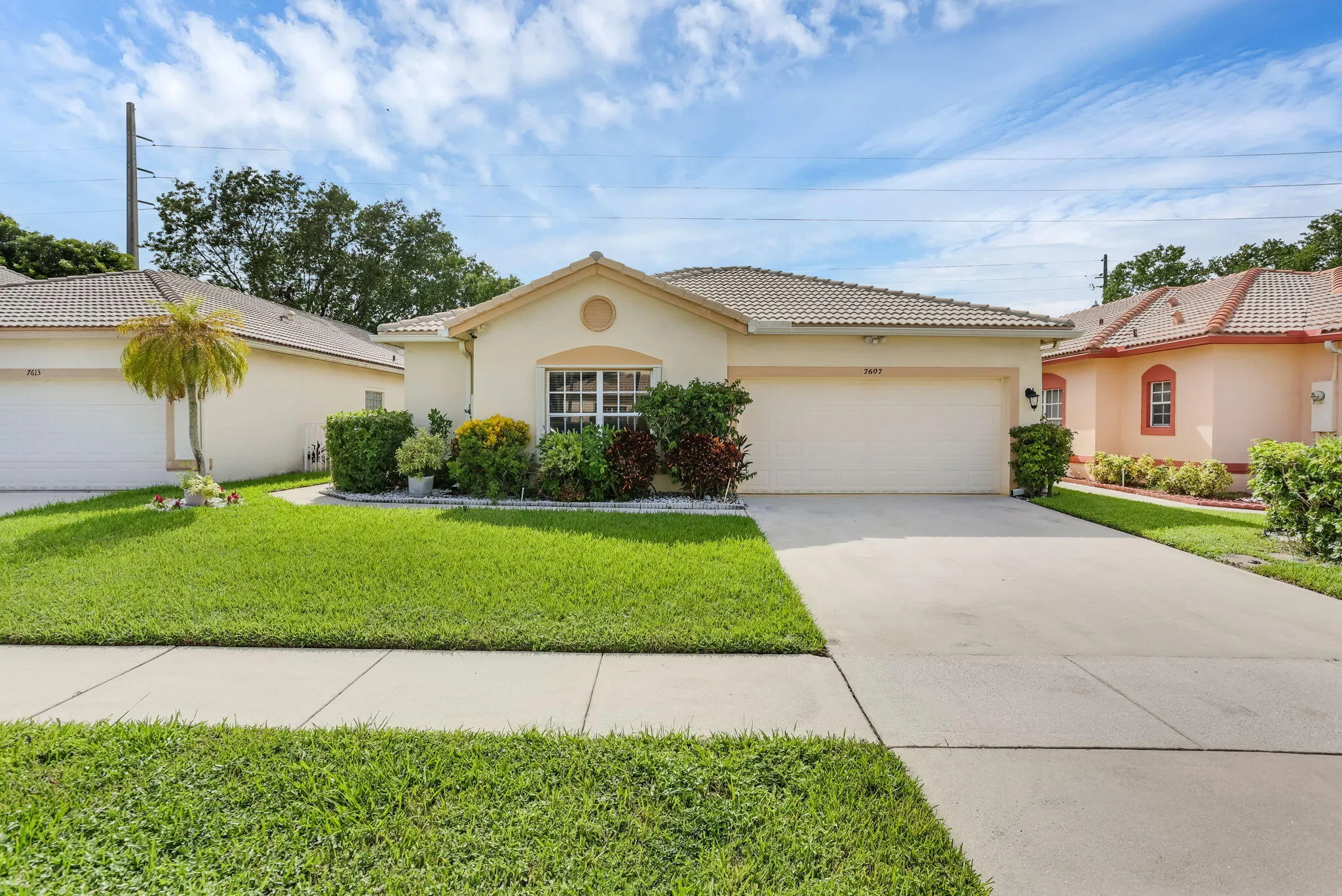 51-web-or-mls-0E2A4262