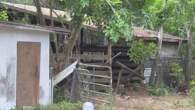 outbuilding