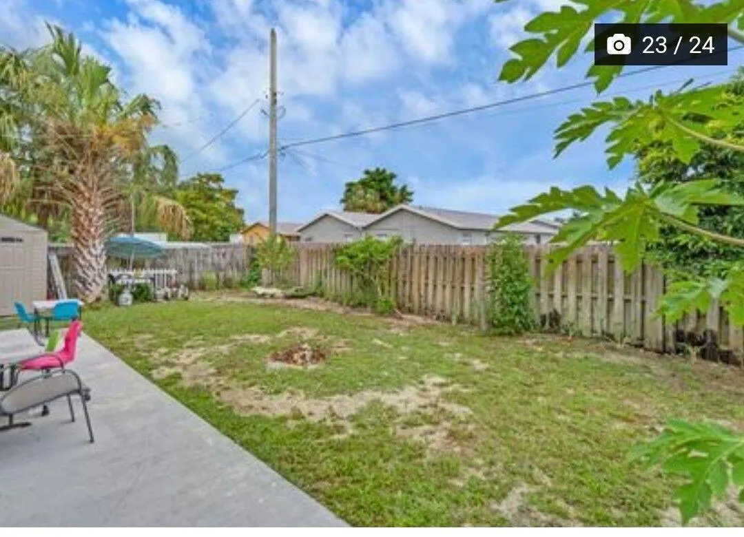 Backyard