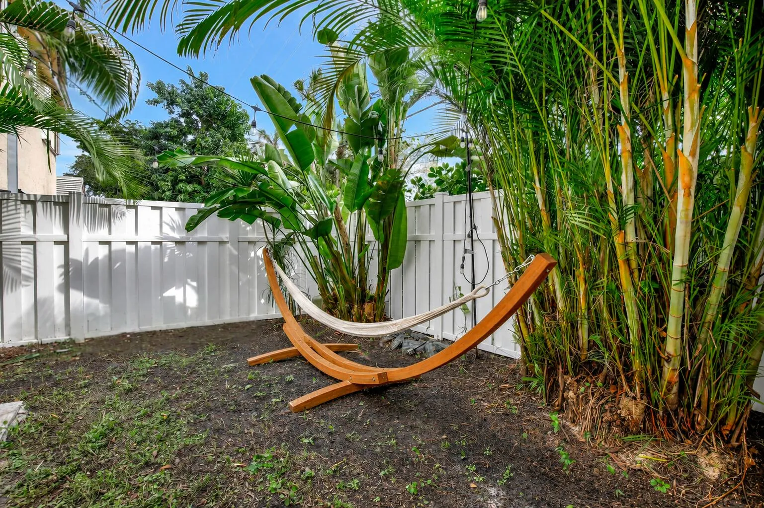 Hammock