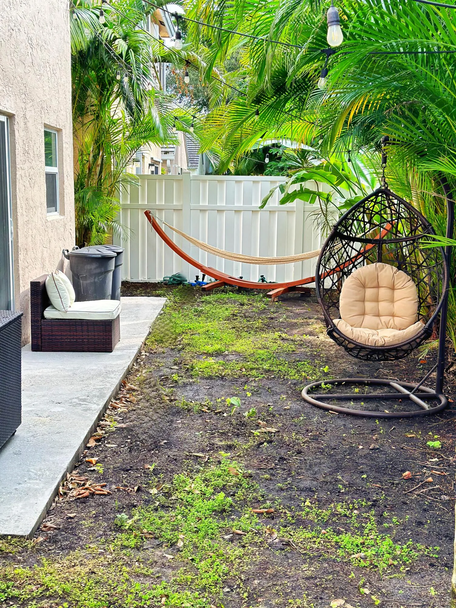 Backyard 1