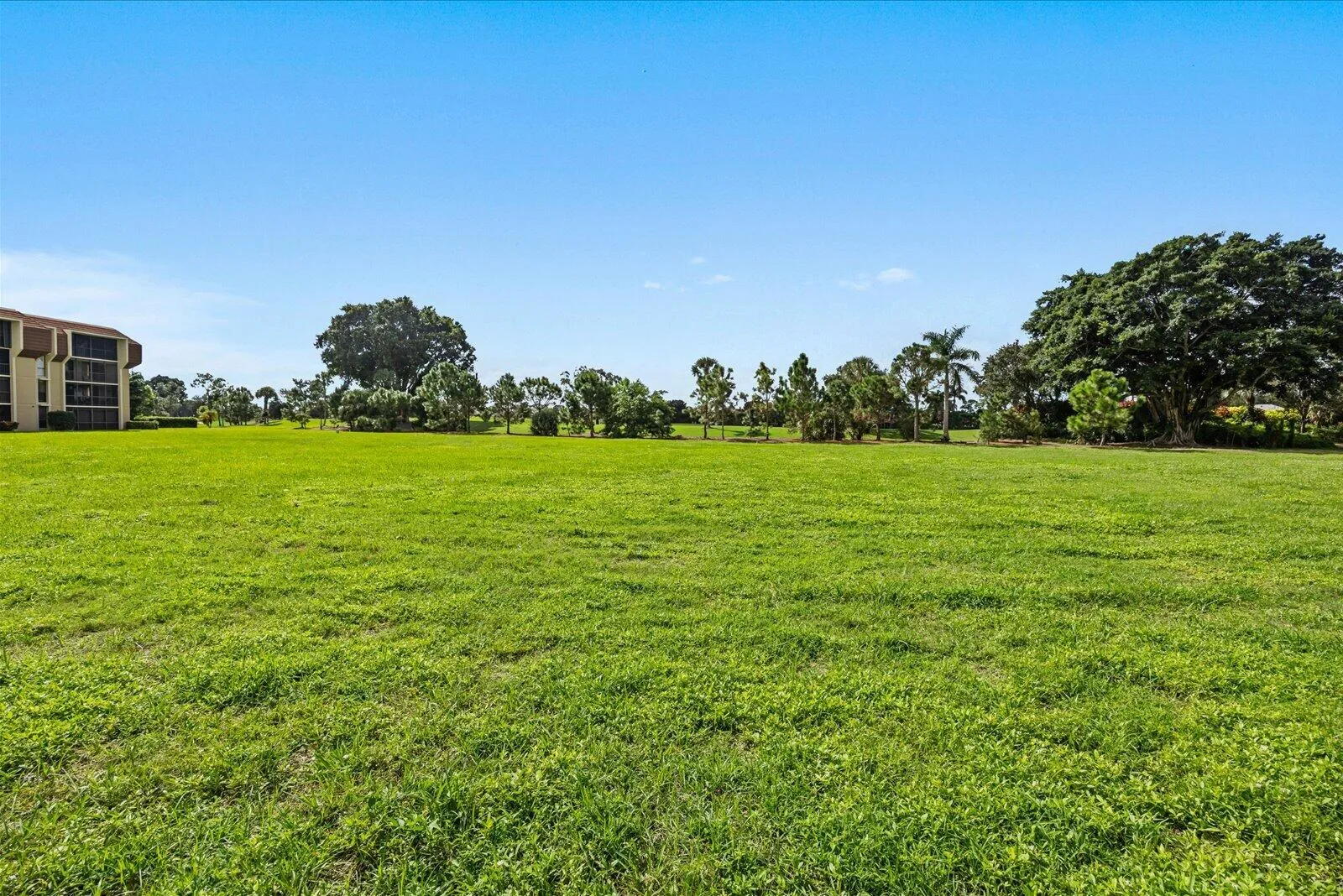 Green Space