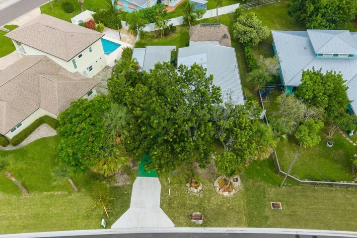 Expansive front yard with mature trees and a concrete driveway