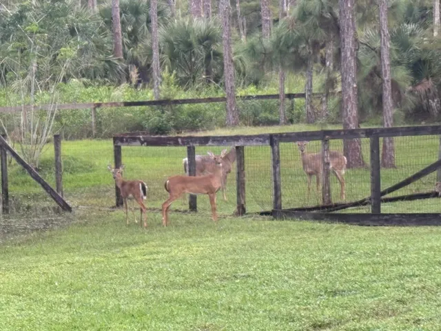 IMG_1728