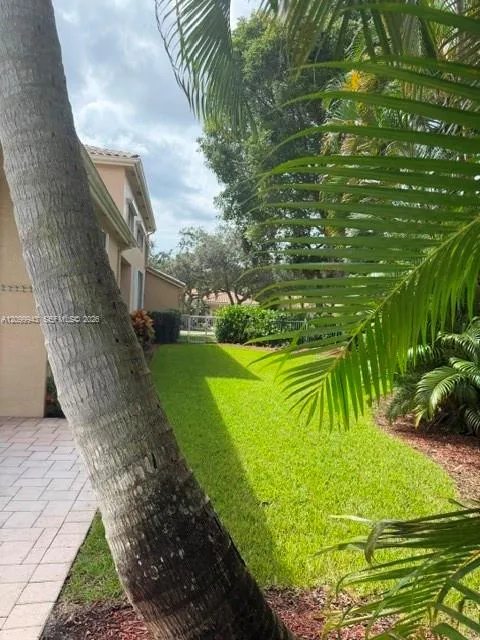 Side yard