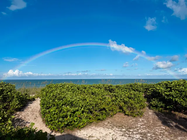 Rainbows in Paradise