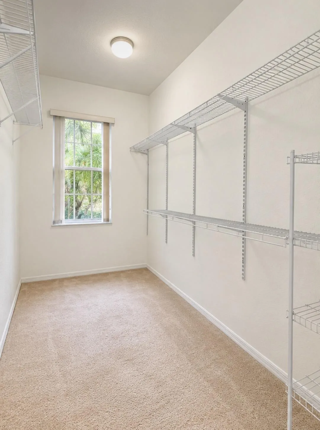 Primary Walk-In Closet