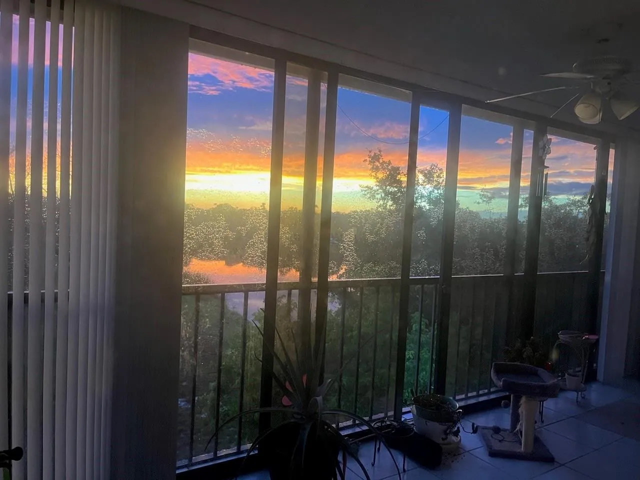 View from Balcony