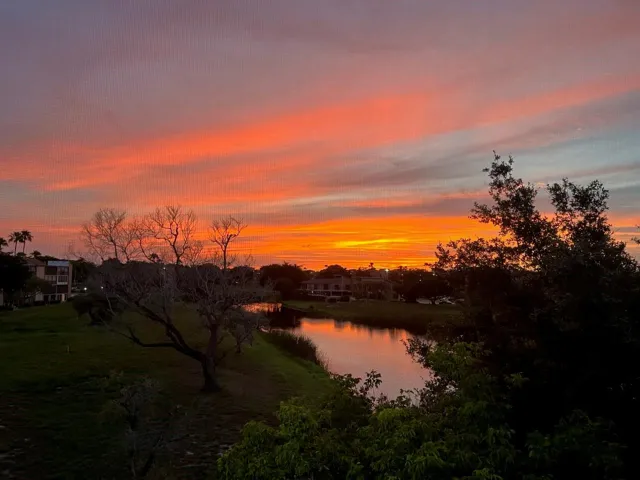 View from Balcony
