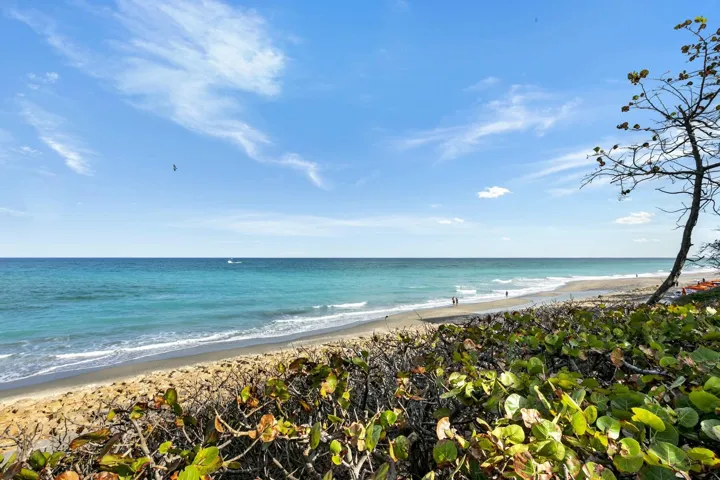 Gorgeous Beach