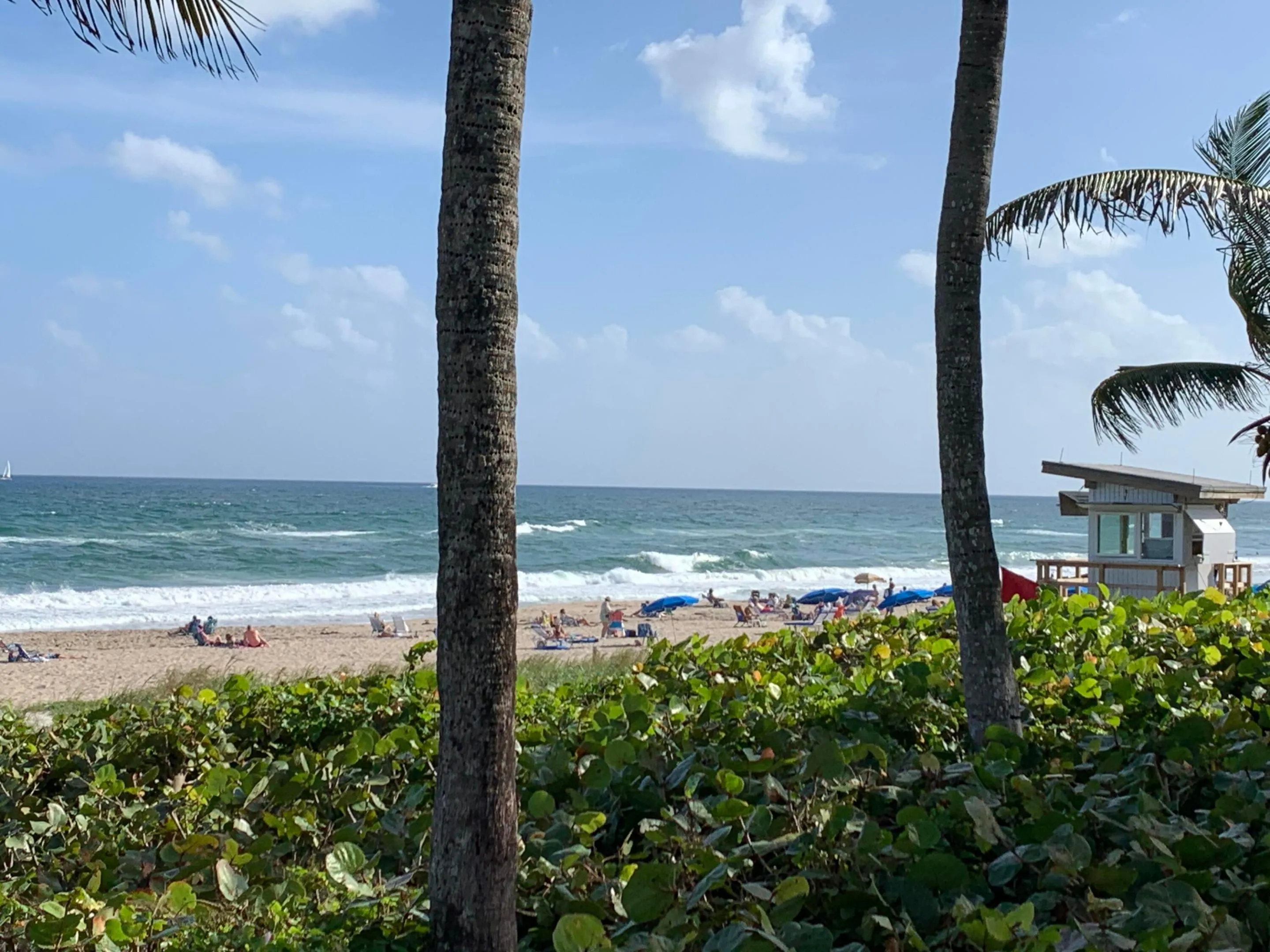 ocean front beach park south view