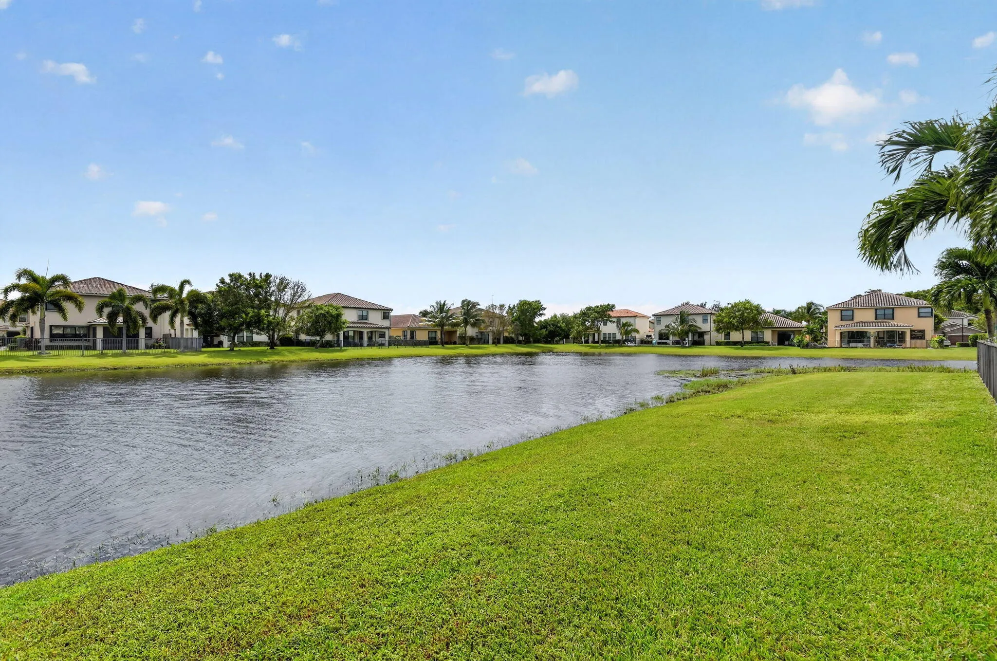 42-web-or-mls-DSC_8144