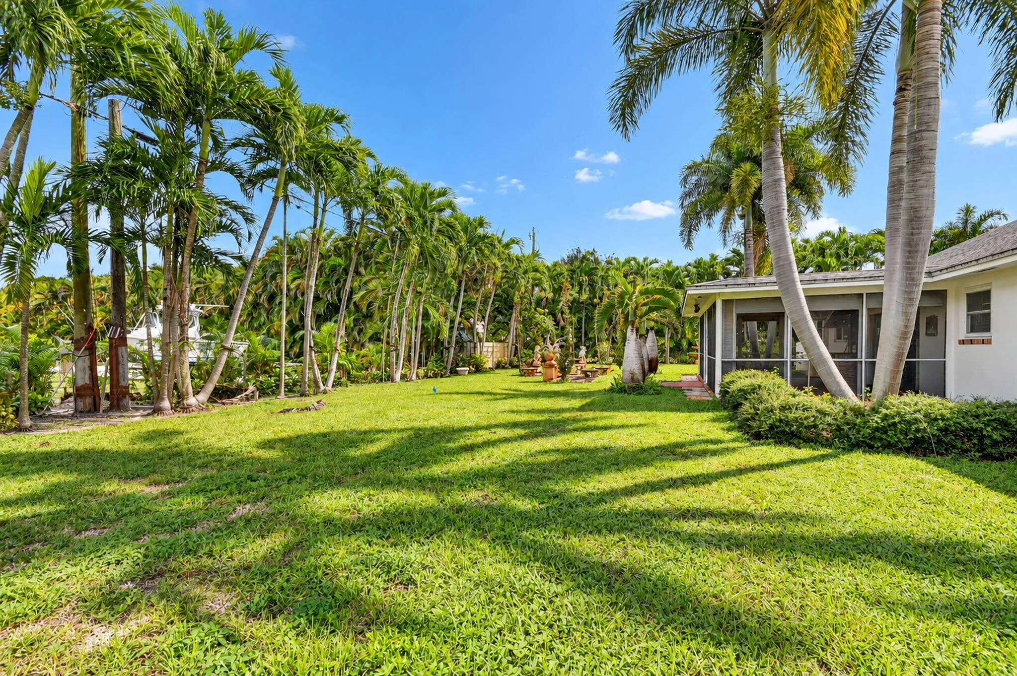 Expansive lawn area featuring numerous mature palm trees and a screened-in patio