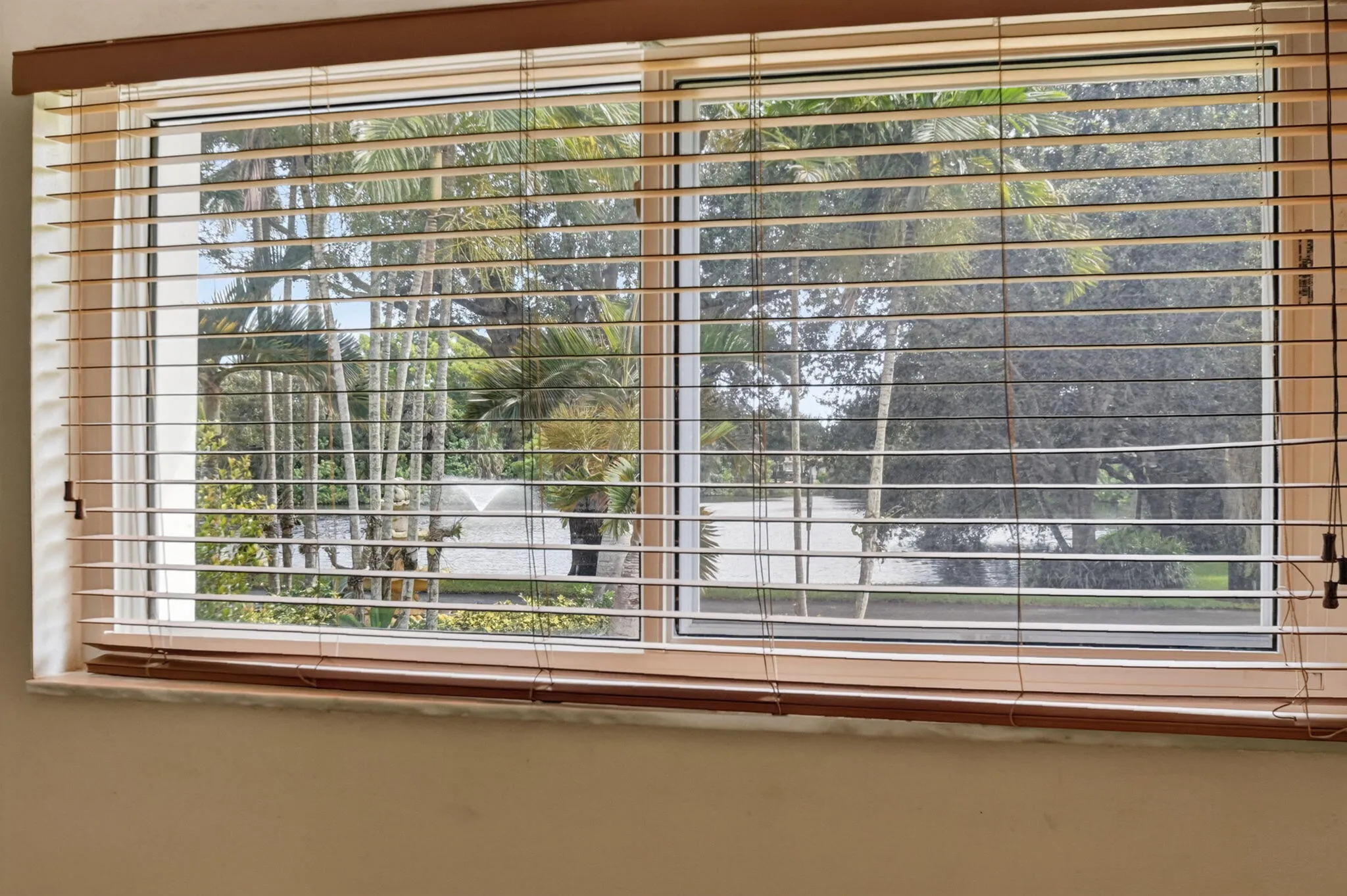 Large window with wood-tone blinds, offering a scenic backdrop of trees and a body of water