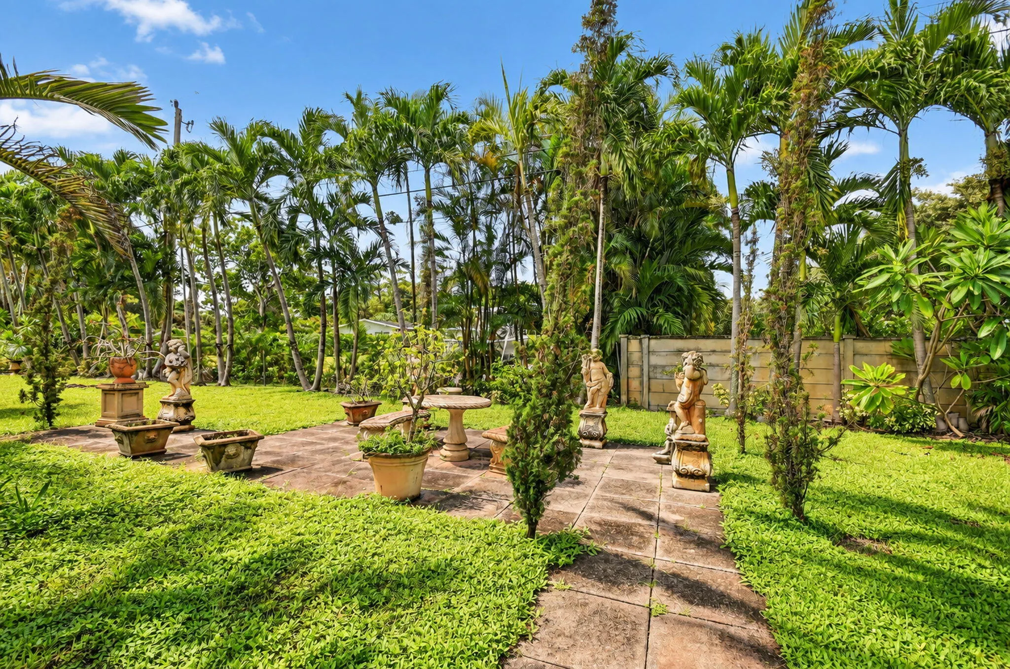 Expansive green lawn with mature palm trees, concrete paver patio, and stone pathways