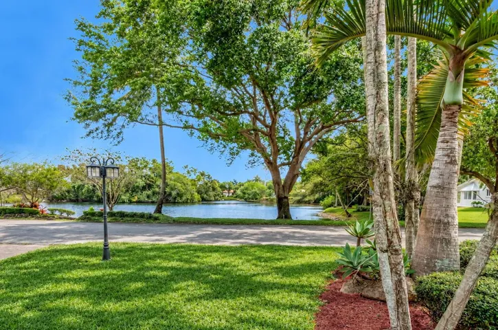 Manicured lawn with mature trees and tropical plantings