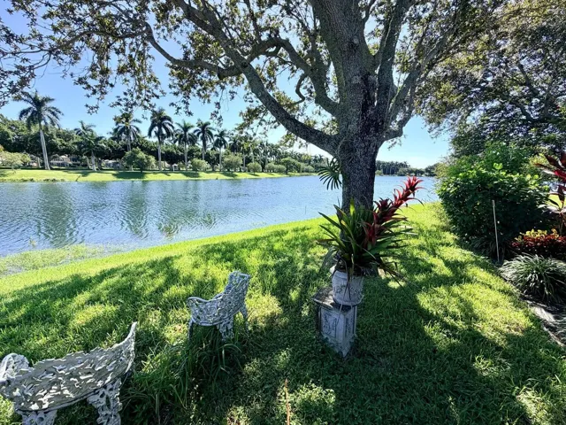 Serene Back Yard.