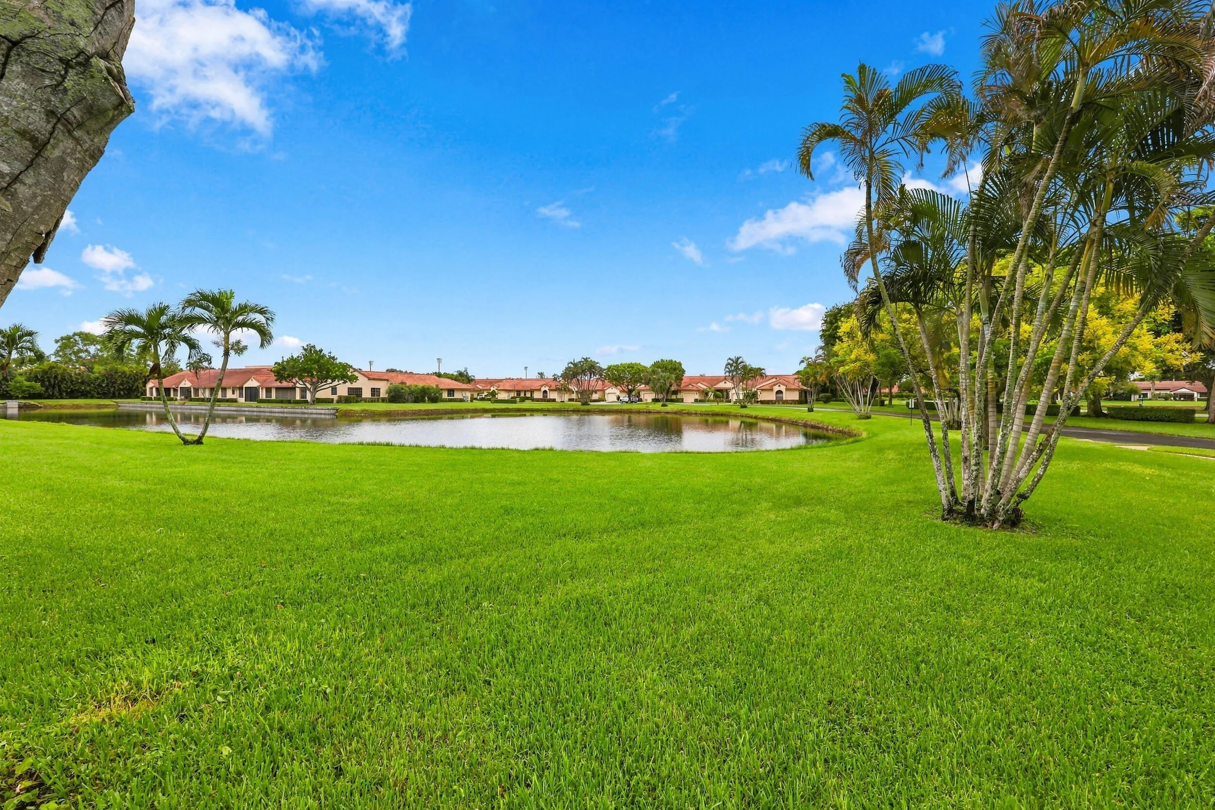 Expansive green lawn with mature palm trees and a reflective water feature