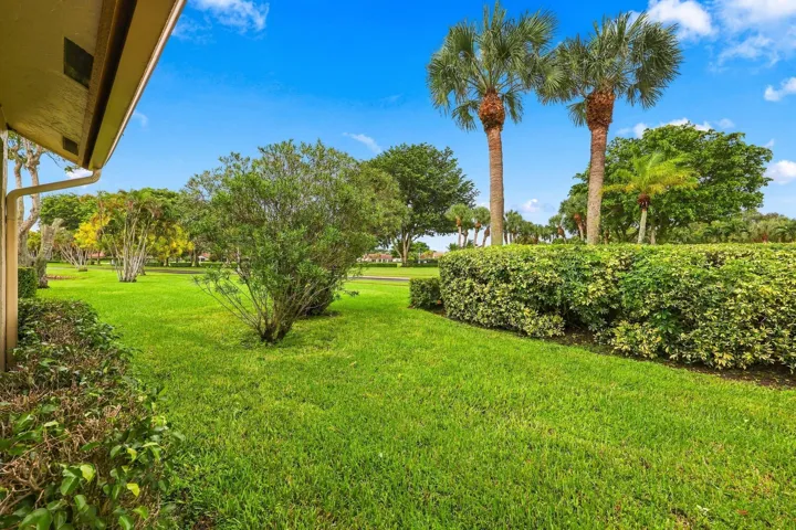 Expansive lawn area featuring mature palm trees and manicured hedges