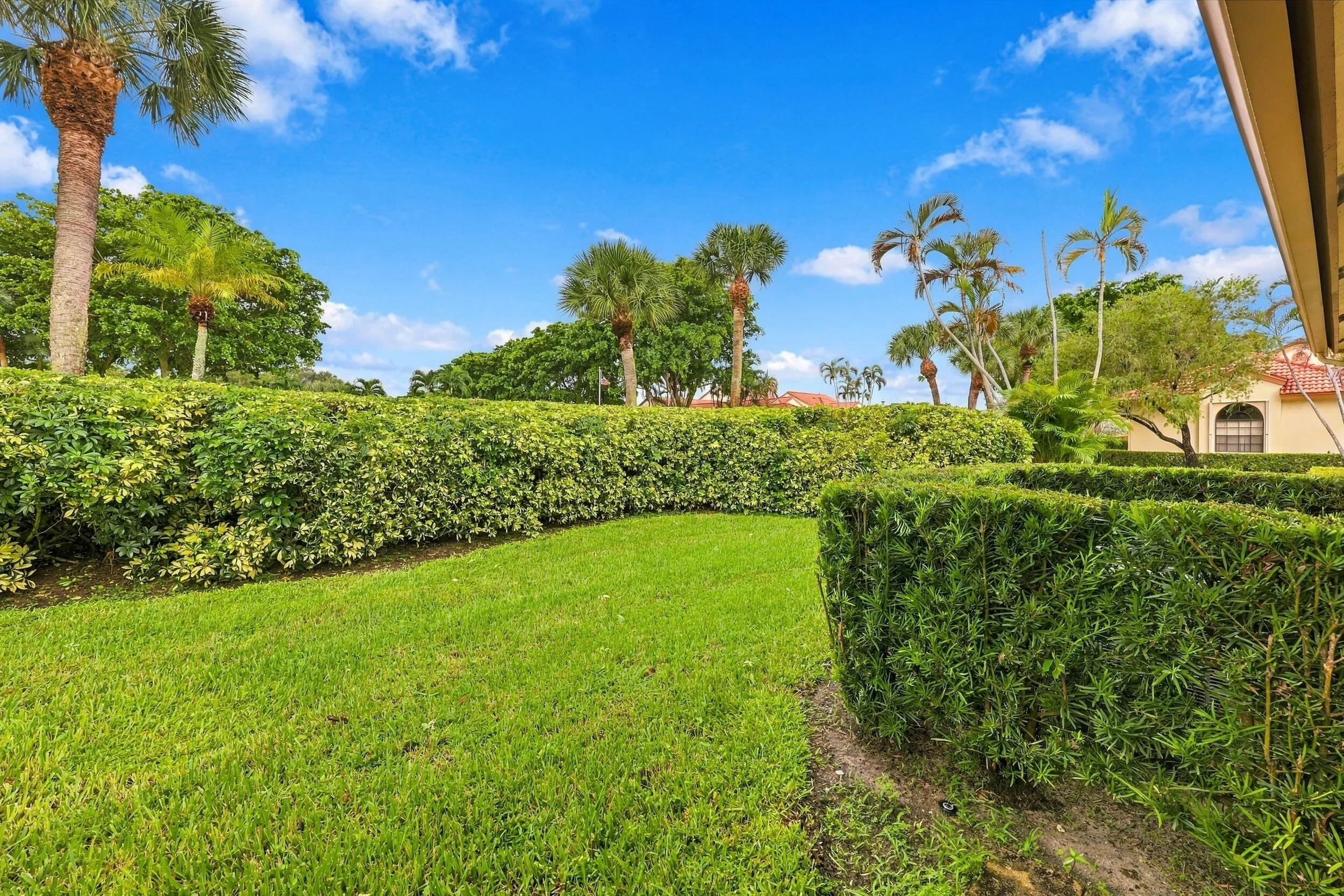 Manicured landscaping with hedge privacy, green lawn, and tropical palm trees