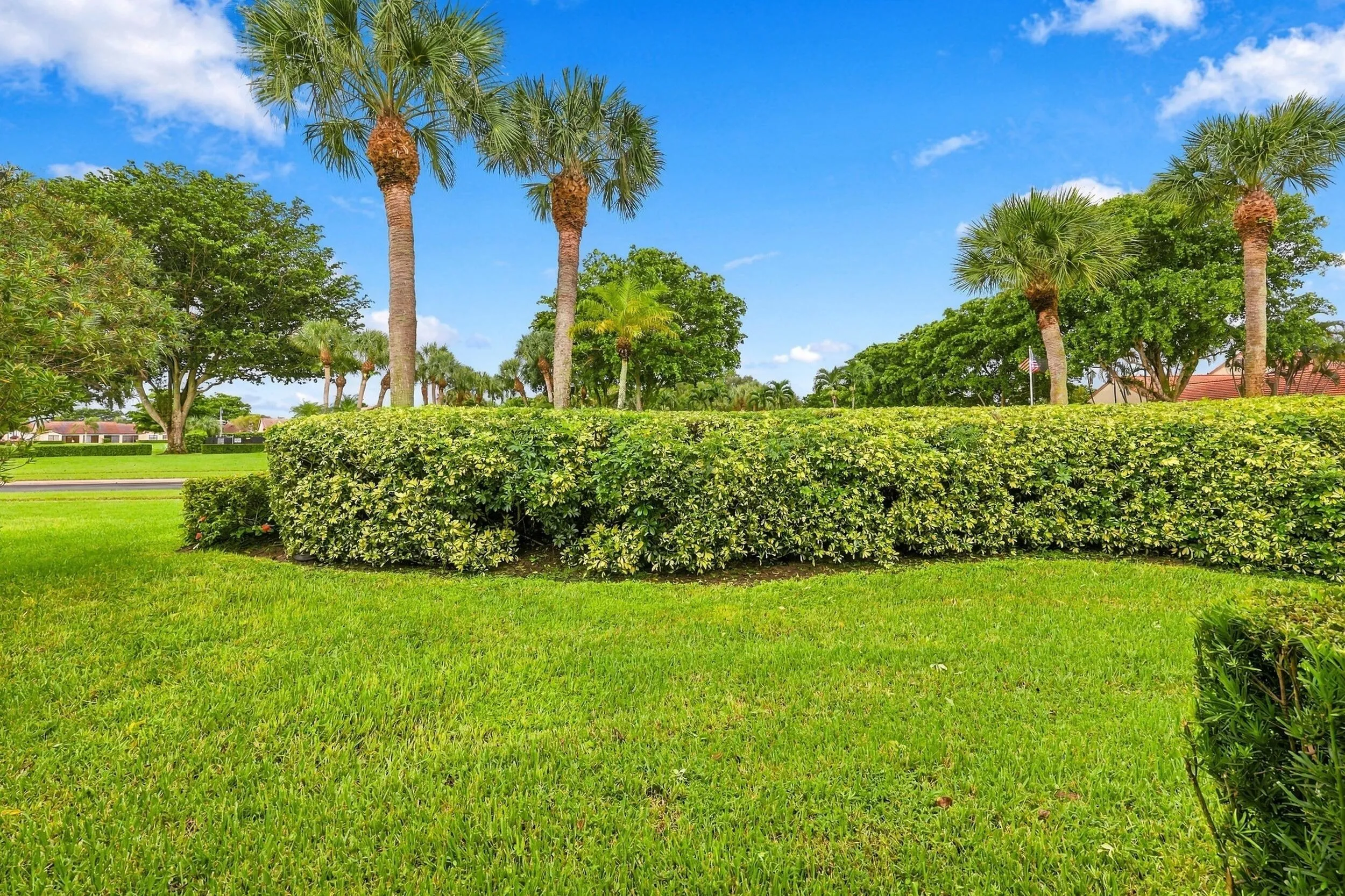 Landscaped grounds featuring manicured hedges, mature palm trees, and lush green lawn