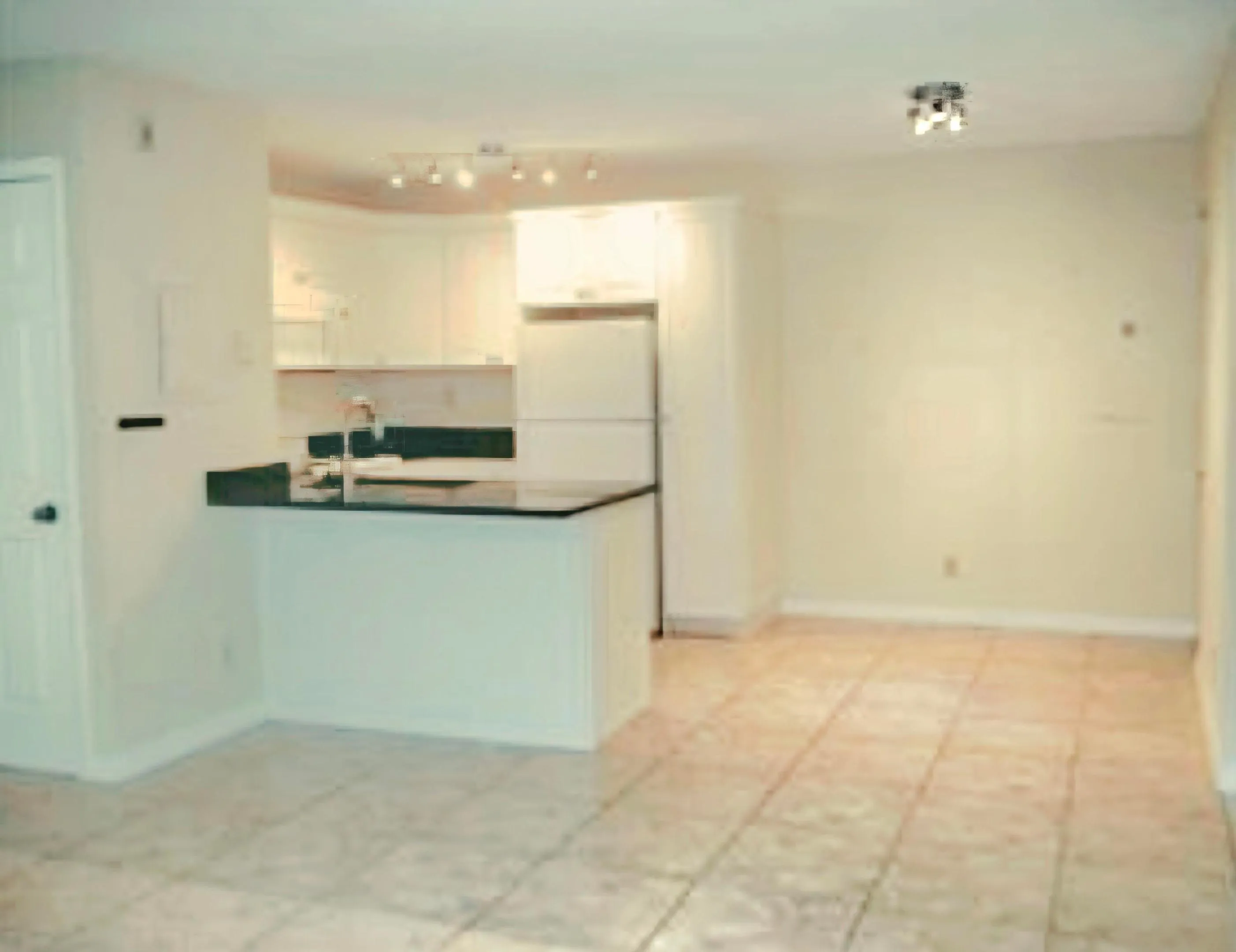 KITCHEN/DINING AREA WITHOUT FURNITURE