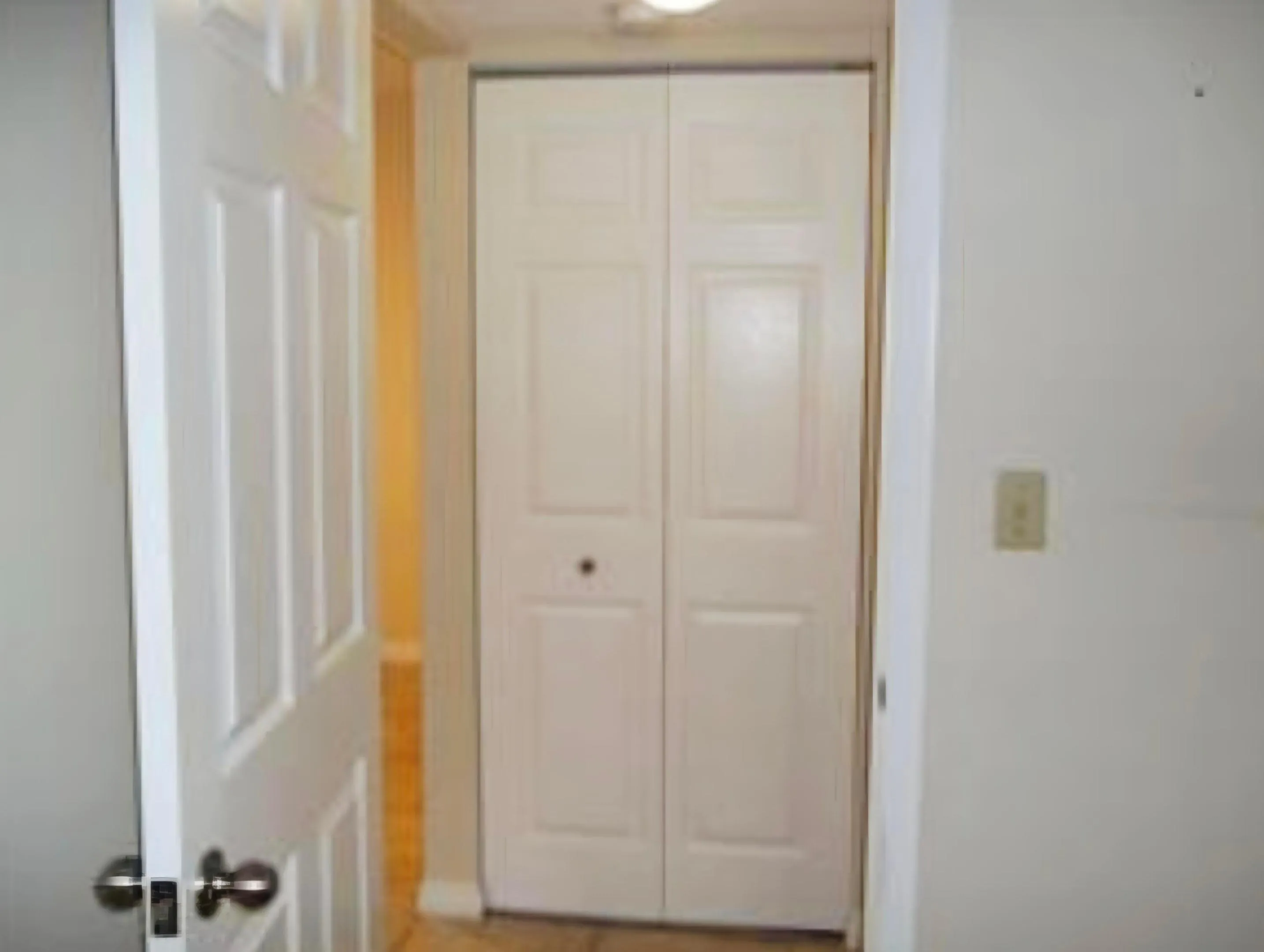 LAUNDRY DOORS