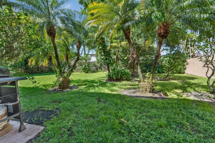 View from Covered patio
