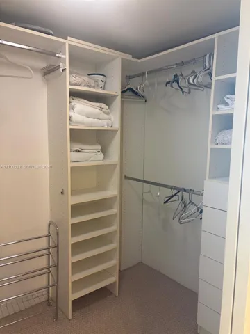 Built-in white shelving system, recessed ceiling light, hanging rods, and carpeted flooring
