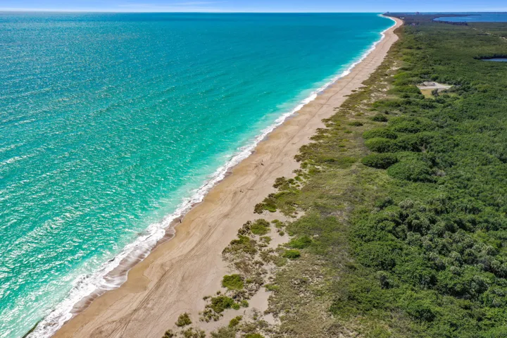 Beach View