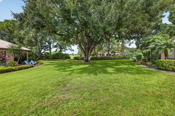 58-web-or-mls-5D1A1535