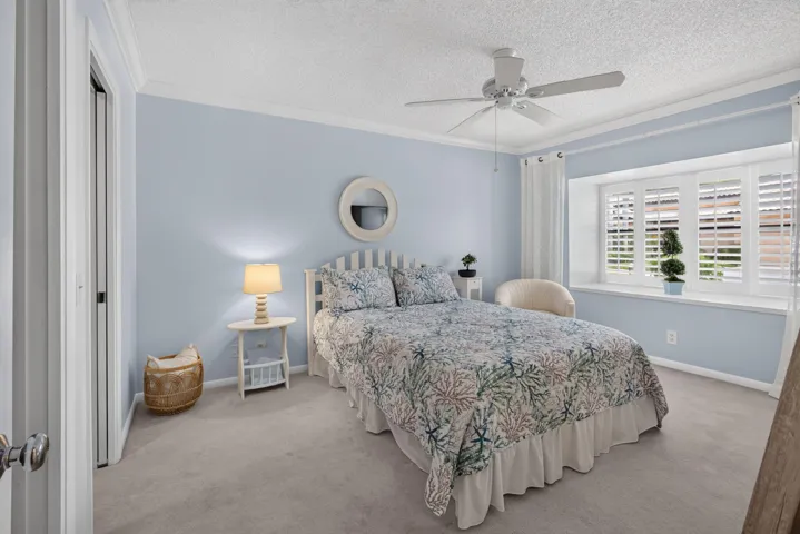 40-web-or-mls-5D1A1594