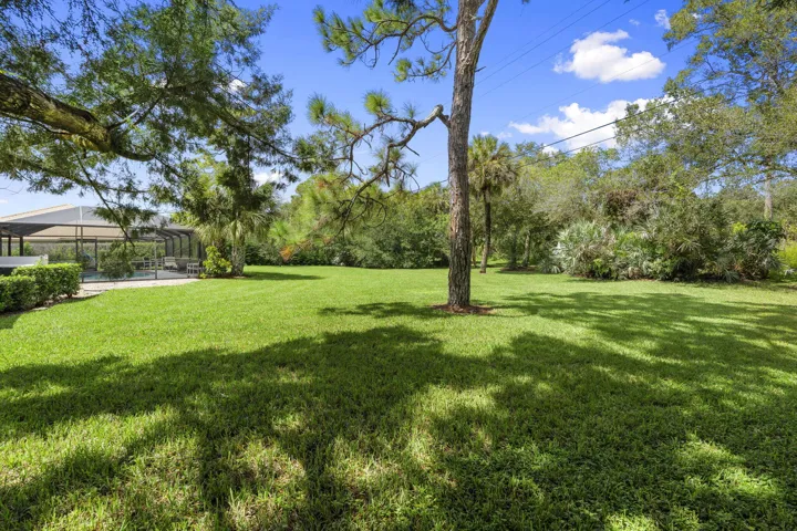 40-web-or-mls-DSC01667