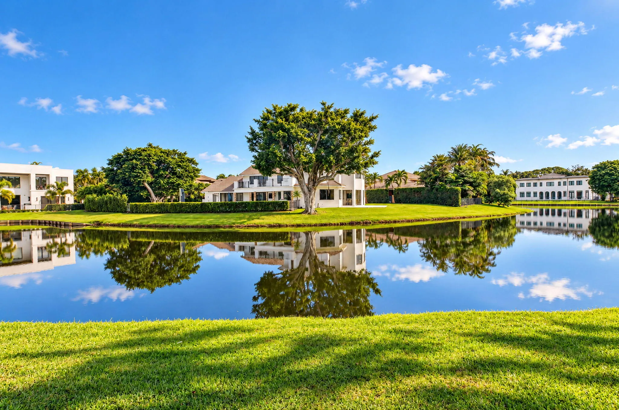 39-web-or-mls-DSC_9478_sunny