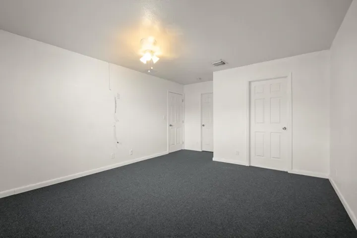Dark gray carpeting, white painted walls, white paneled doors, and a ceiling-mounted light fixture