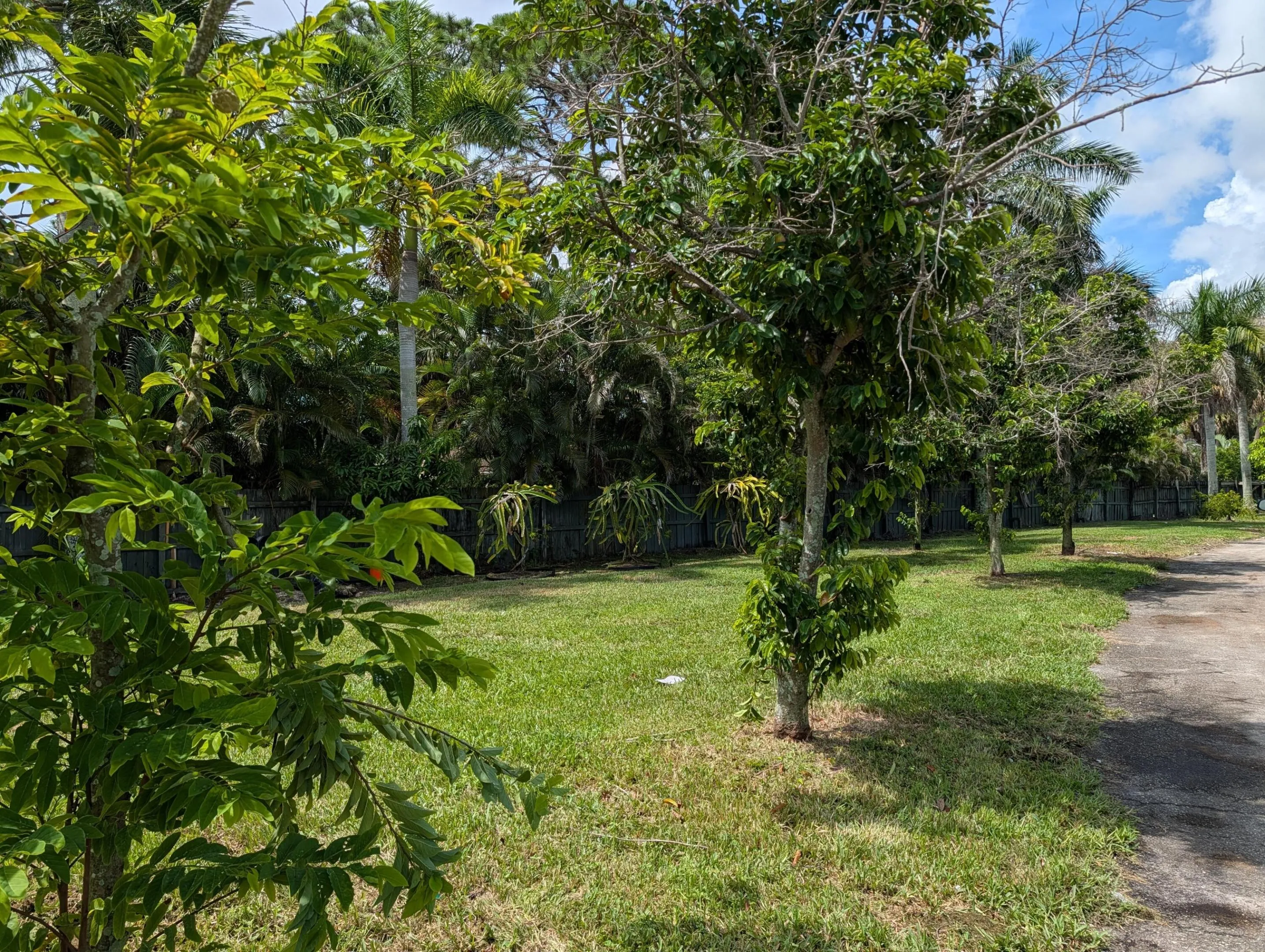 Property photo 23
