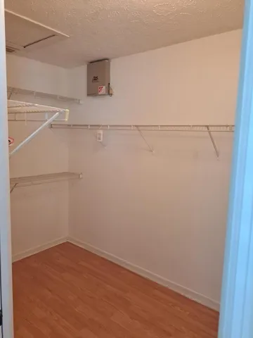 b3