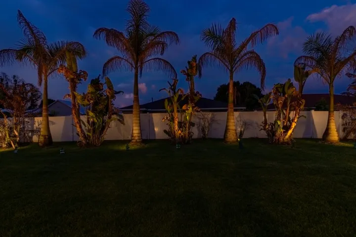 Manicured lawn with accent lighting, mature palm trees, tropical foliage, and a perimeter fence