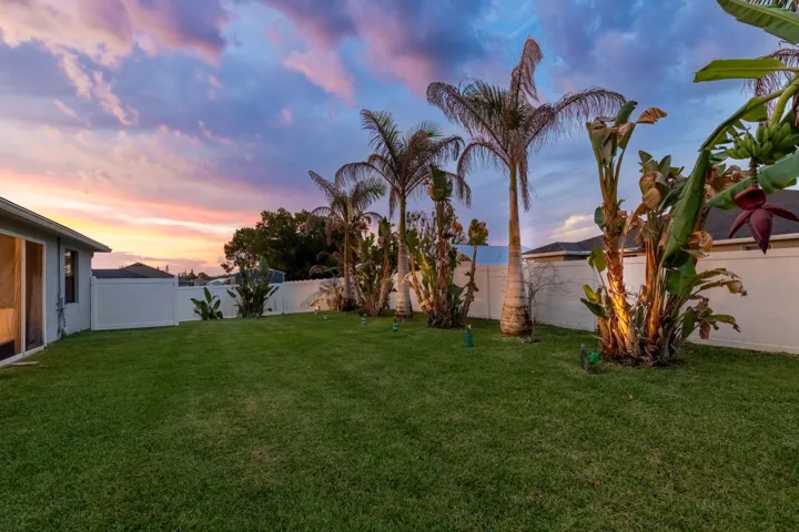 Expansive lawn with mature palm trees, tropical plantings, and a privacy fence