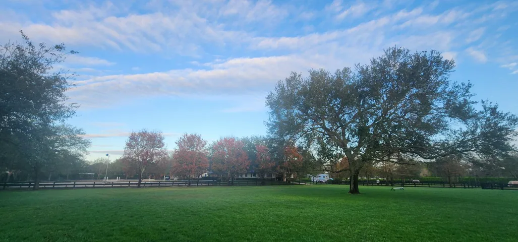 riding field