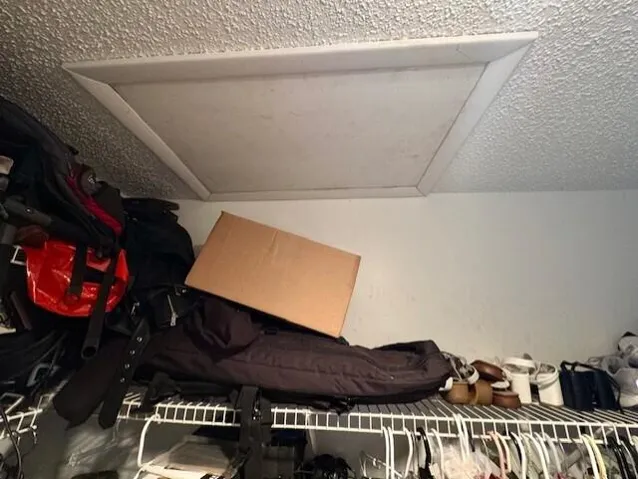attic access