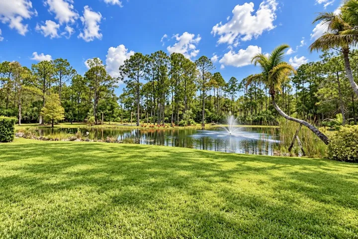 alt view lake and firepit area